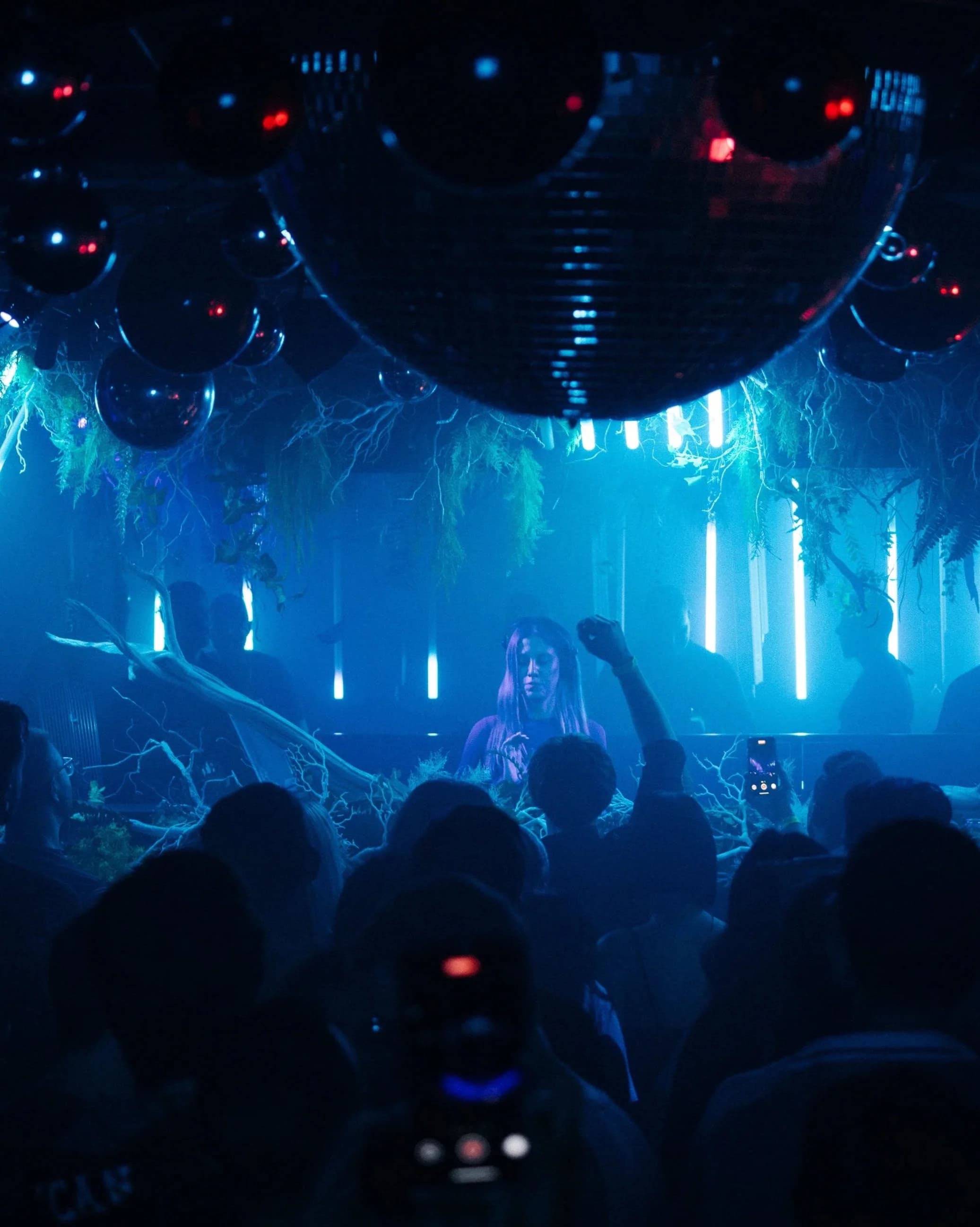 Adina Nova